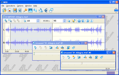 WIDI Recognition System Screenshot